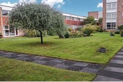 Image of Communal Private Gardens