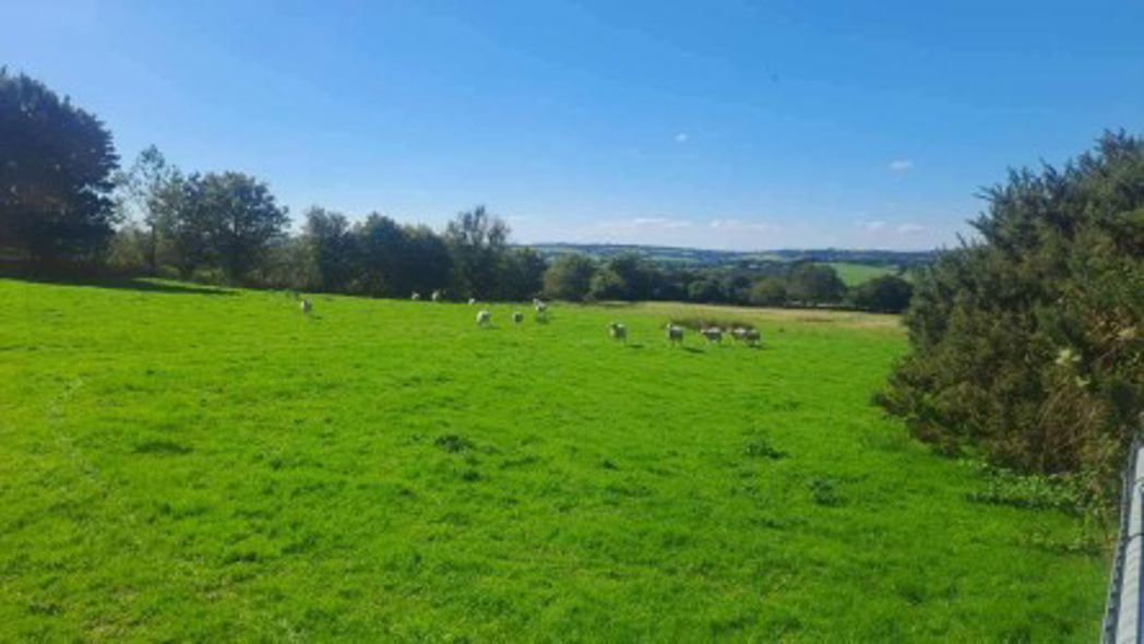 Isacombe, Farmland at Launceston Road, Launceston, Cornwall, PL17 8DT